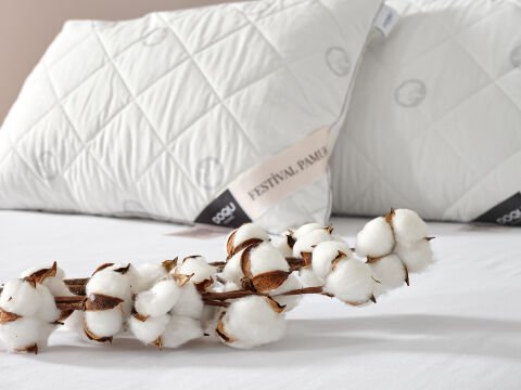 Festival Pamuk Yastık