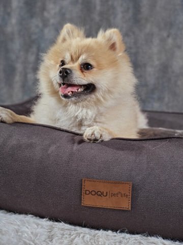 Dogbed Evcil Hayvan Yatağı 70 x 50 x 23 cm - Antrasit