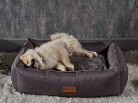 Dogbed Evcil Hayvan Yatağı 70 x 50 x 23 cm - Antrasit