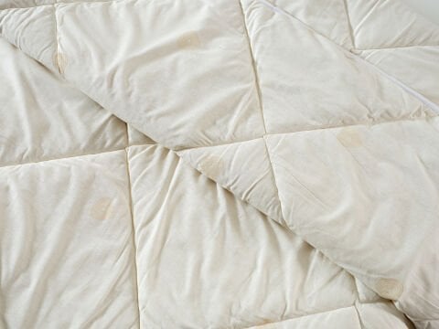 Festival Yün Yorgan