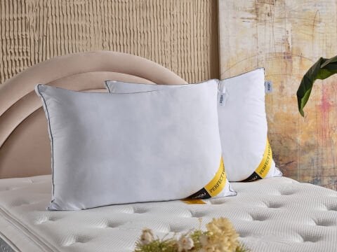 Perfect Yavrulu Yastık 50 x 70 cm