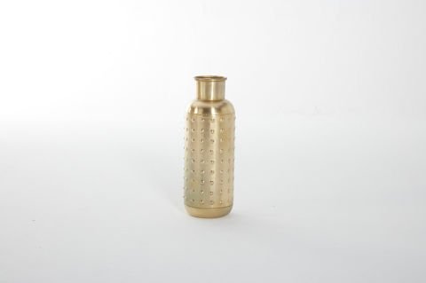 İron Hand Plnt W Pnc B Ma3845 Gold  Vazo