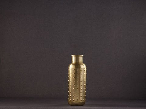 İron Hand Plnt W Pnc B Ma3845 Gold  Vazo Standart - Gold