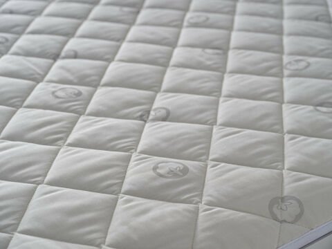 Festival Pamuk Kapitoneli Alez