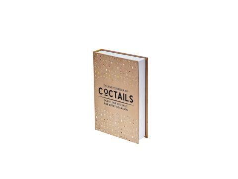 Rosita Cctail & Suitcase 2'li Kitap Kutu