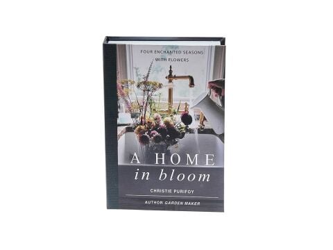 Rosita Ahome Kitap Kutu