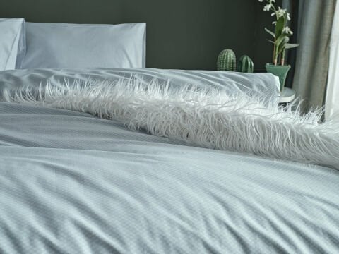 Dreamlife Nevresim Takımı Çift Kişilik - Yeşil