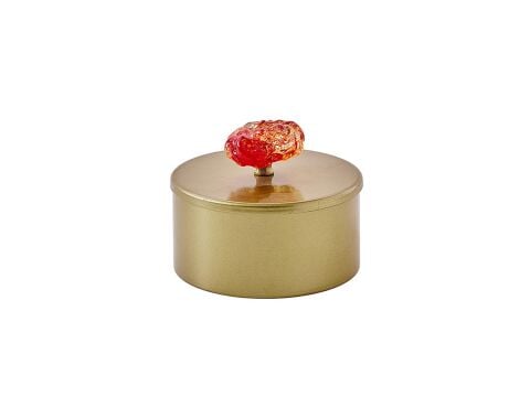 Marietta Gold Dekoratif Kutu Standart