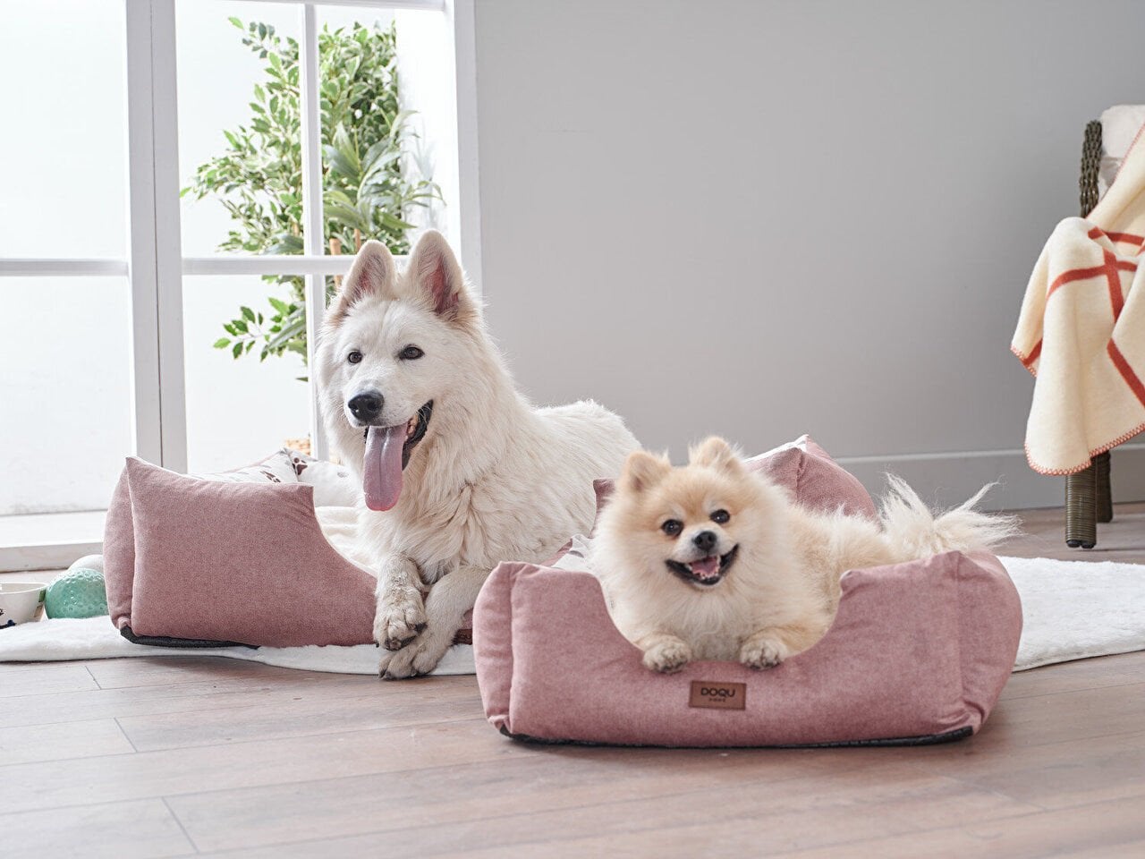 Petlife Evcil Hayvan Yatağı Misty