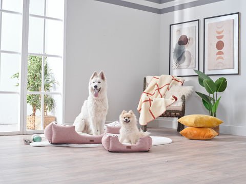 Petlife Evcil Hayvan Yatağı Misty