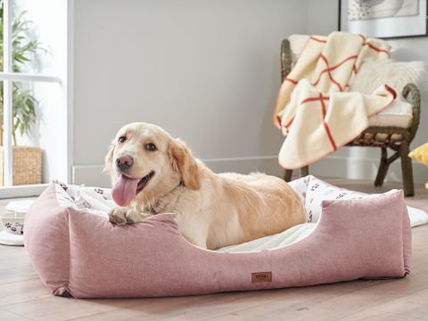 Petlife Evcil Hayvan Yatağı Misty