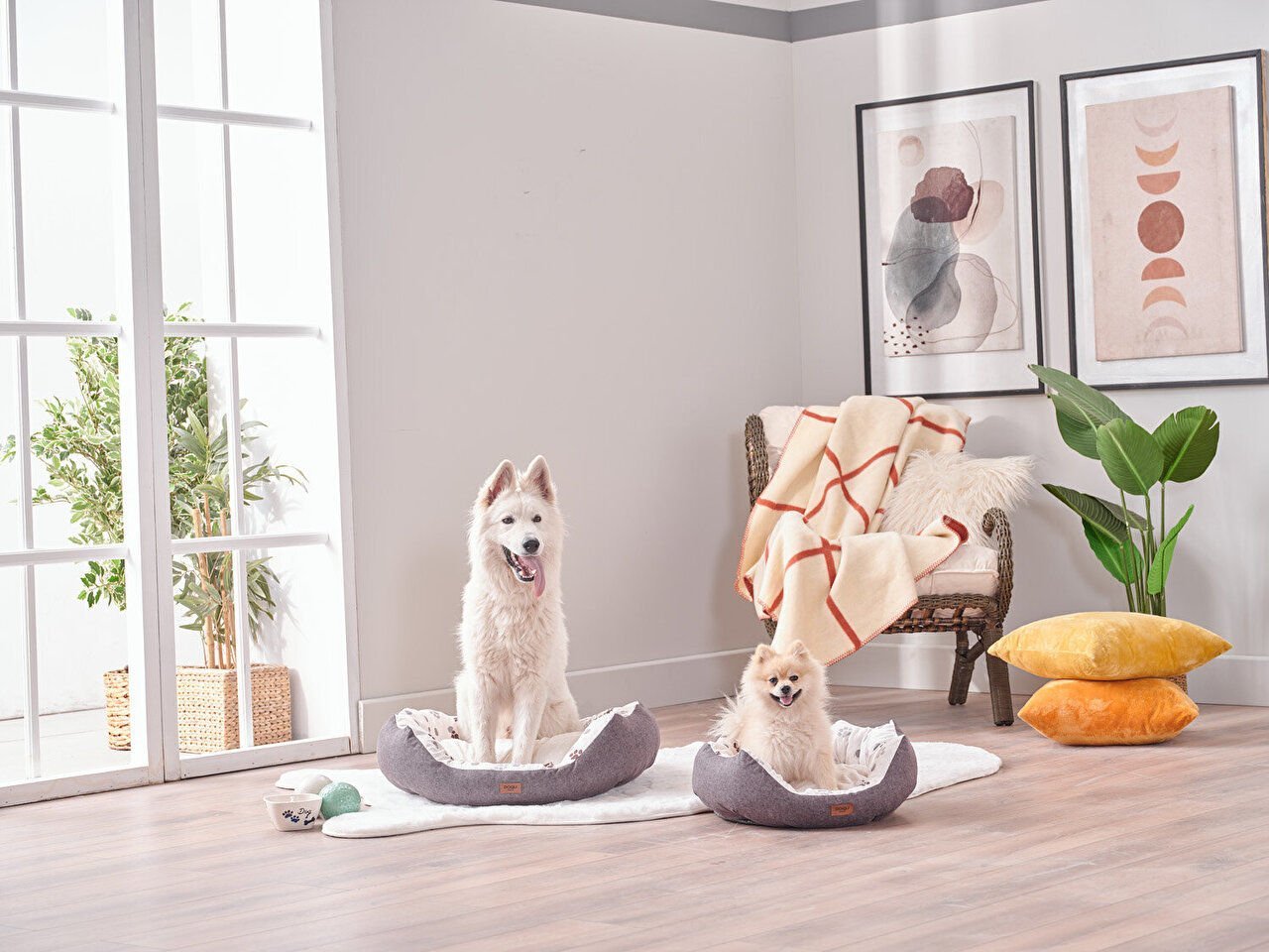 Petlife Evcil Hayvan Yatağı Tina