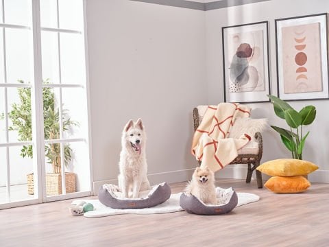 Petlife Evcil Hayvan Yatağı Tina