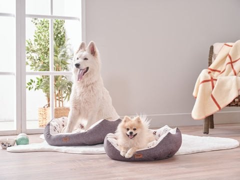 Petlife Evcil Hayvan Yatağı Tina