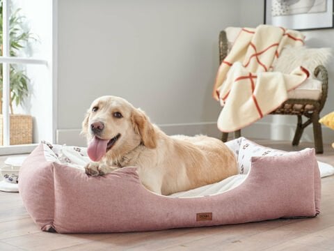 Petlife Evcil Hayvan Yatağı Misty Xlarge - Pudra