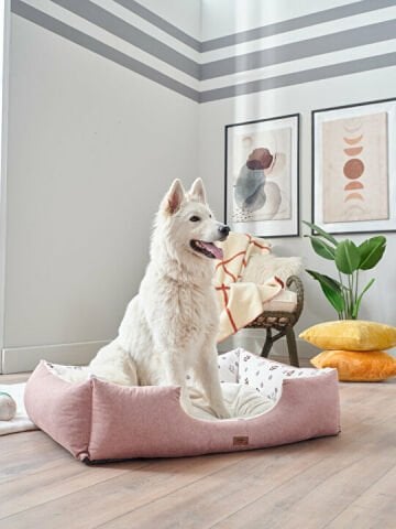 Petlife Evcil Hayvan Yatağı Misty Xlarge - Pudra