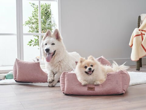 Petlife Evcil Hayvan Yatağı Misty Xlarge - Pudra