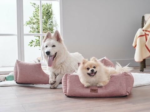 Petlife Evcil Hayvan Yatağı Misty Xlarge - Pudra