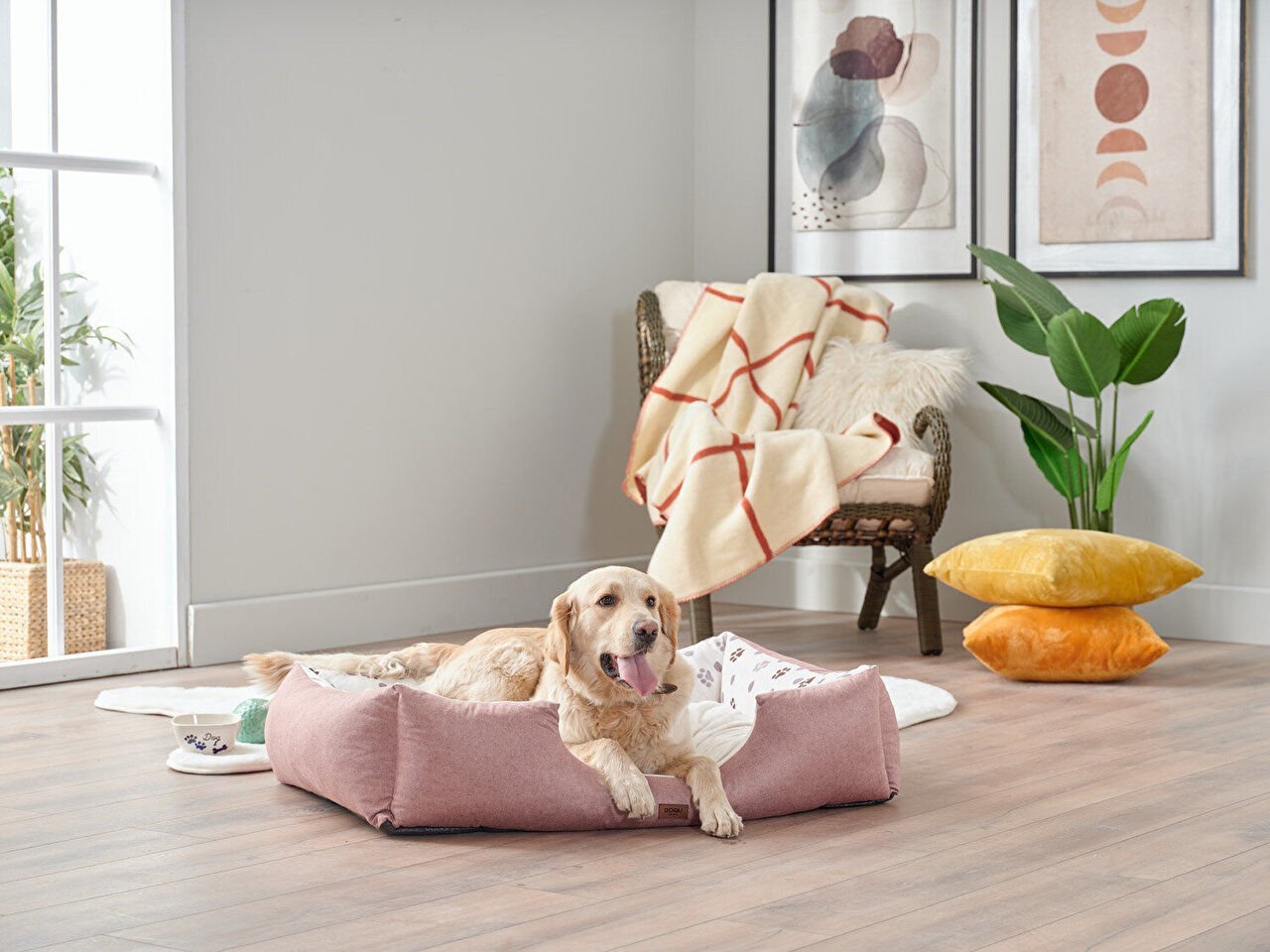 Petlife Evcil Hayvan Yatağı Misty Large - Pudra