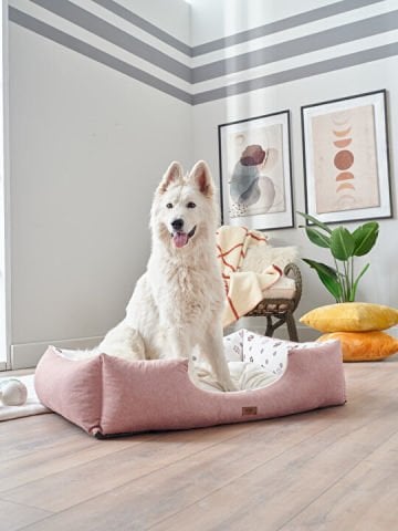 Petlife Evcil Hayvan Yatağı Misty Large - Pudra