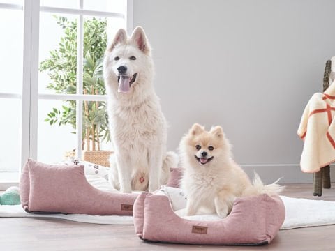 Petlife Evcil Hayvan Yatağı Misty Large - Pudra
