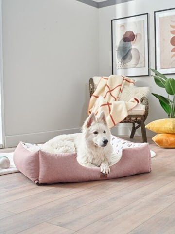 Petlife Evcil Hayvan Yatağı Misty Large - Pudra