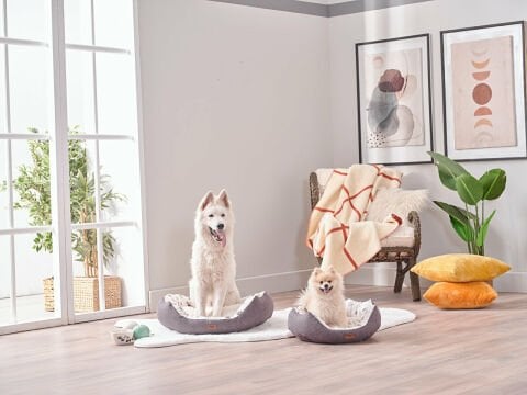 Petlife Evcil Hayvan Yatağı Tina Small - Antrasit