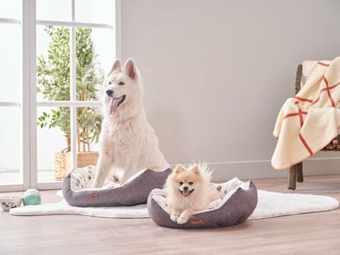 Petlife Evcil Hayvan Yatağı Tina Small - Antrasit
