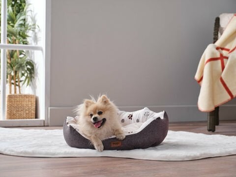 Petlife Evcil Hayvan Yatağı Tina Small - Antrasit