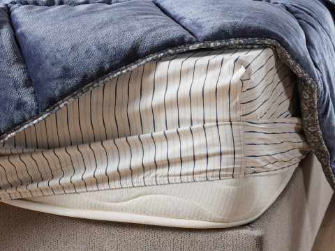 Monica Next Comforter Uyku Seti Çift Kişilik