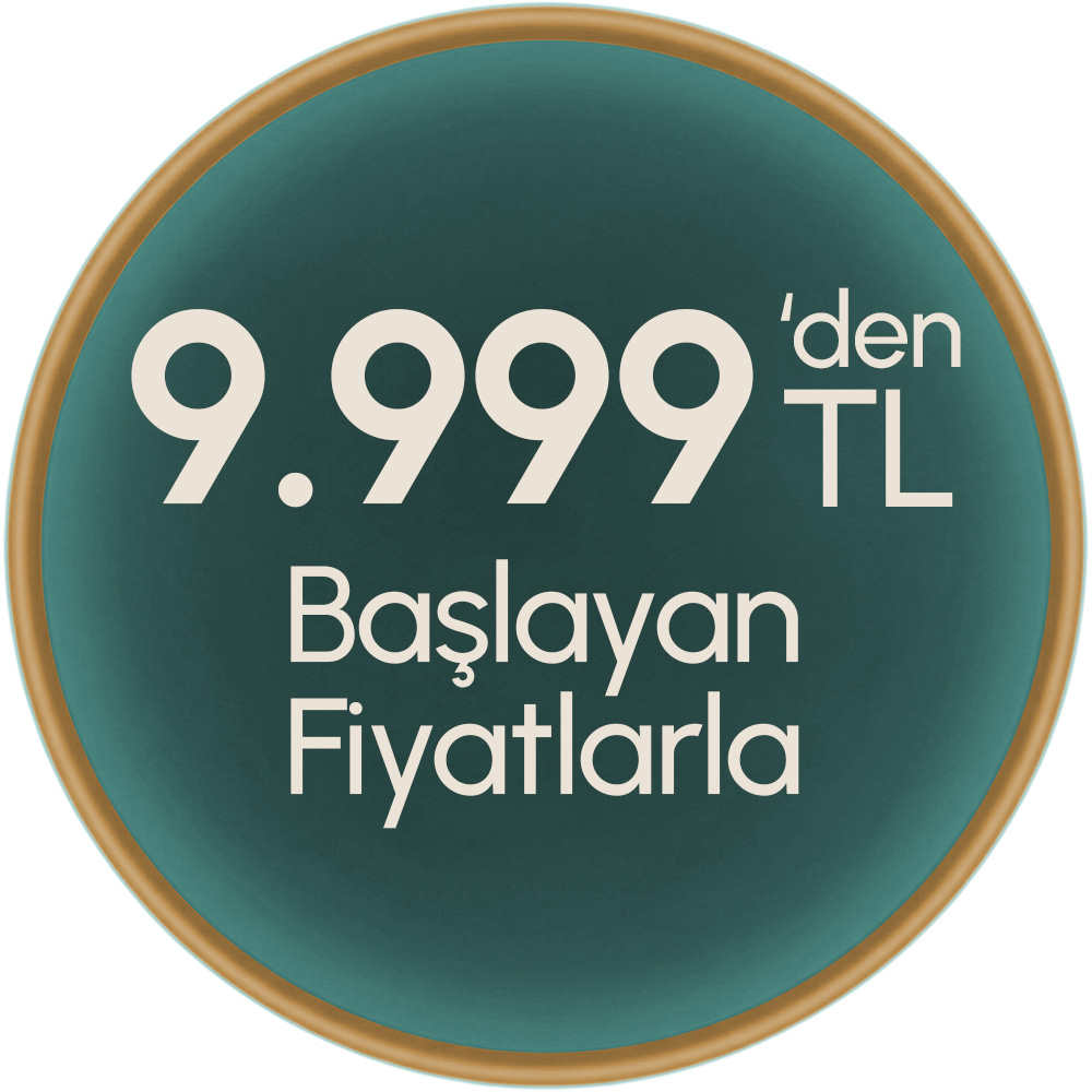 Koltuklar