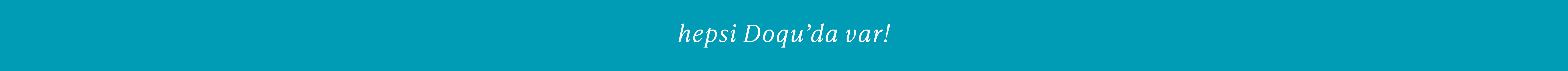 Ekstra Banner 1